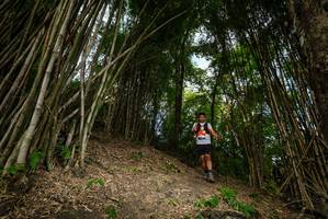 BIB: 
                            <button type="button" onclick="openModal(19396106)" class="btn btn-primary btn-sm float-right btn-popup" data-toggle="modal" data-target=".modal-high-quality">
                        <i class="fas fa-shopping-cart"></i> Add to Cart
                    </button>
                                            <button type="button" onclick="isThisMe(19396106, true)" class="btn btn-success btn-sm float-right btn-popup btn-isme hidden" data-toggle="tooltip" data-placement="bottom" title="นี่คือรูปของคุณใช่ไหม คลิกที่นี่เพื่อเอาเข้าอัลบั้ม">
                        <i class="fas fa-plus"></i> Add to album
                    </button>
                    <button type="button" onclick="isThisMe(19396106, false)" class="btn btn-warning btn-sm float-right btn-popup btn-isnotme hidden">
                        <i class="fas fa-ban"></i> Remove from album
                    </button>